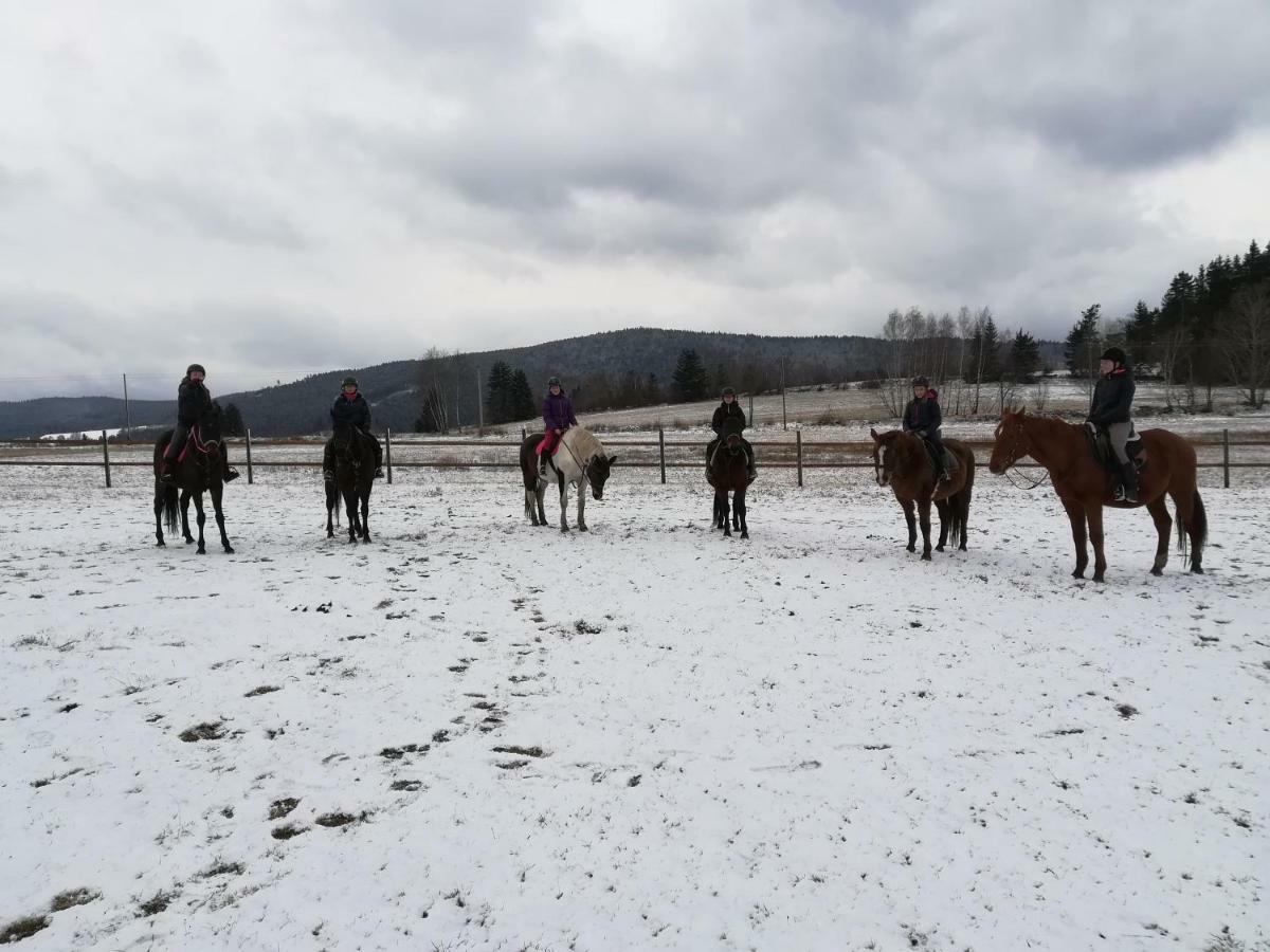 Appartamento Farma Ranch Jelemek Nebahovy